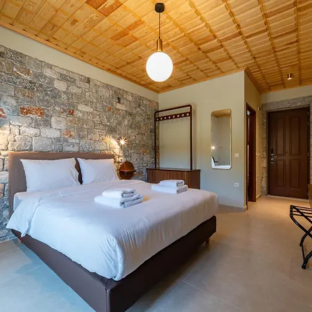 Πανσιόν Aeriko *